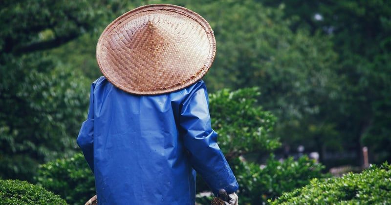 La boutique du jardinier : le paradis secret des passionnés de jardin