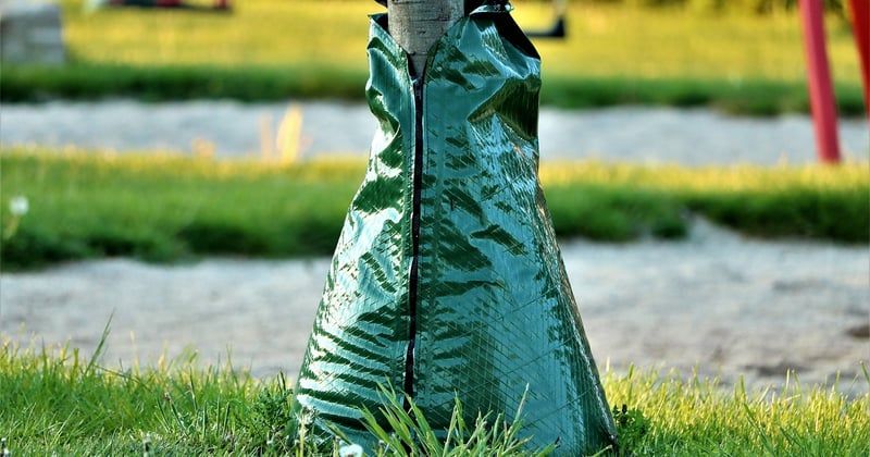 7 techniques innovantes pour jardin qui vont transformer votre espace vert