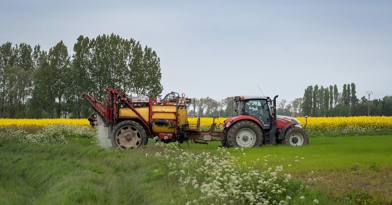 Roundup Ultra Plus : le désherbant puissant qui fait la différence