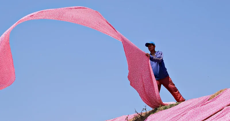 Quelles matières flattent vraiment le rose poudrée ?