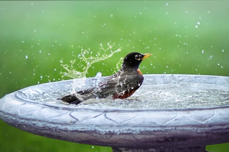 Découvrez les meilleurs spots salle de bain Leroy Merlin pour 2026