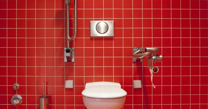 Petit vers noir dans les toilettes : d'où ils viennent et comment s'en débarrasser