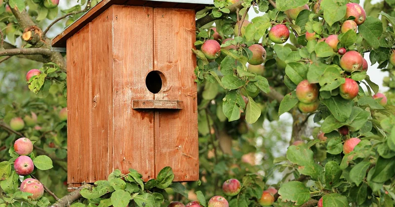 Acheter ou fabriquer : ce que valent les cabanes du commerce