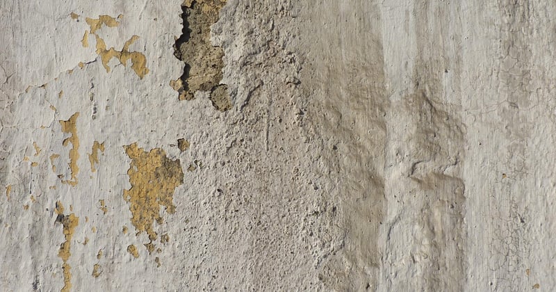 Peindre sur du plâtre neuf : les secrets d'un résultat parfait
