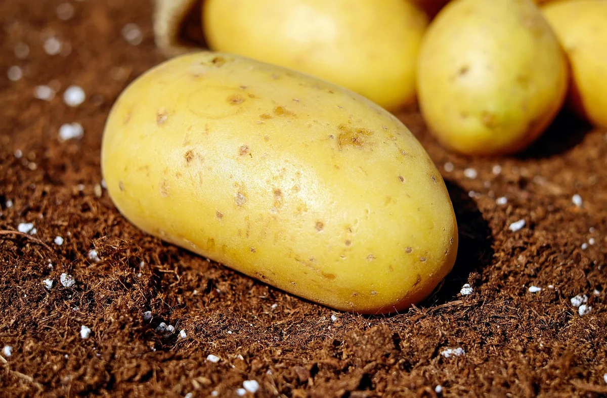 Les meilleurs matériaux maison écologique en 2026 : guide complet